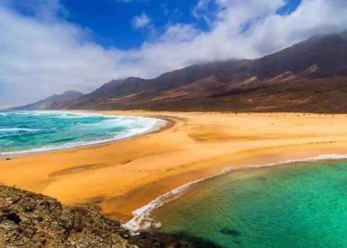 Centric Attic شقة *